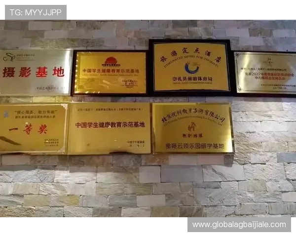 云顶投资有限公司的市场扩展策略与国际化发展前景分析